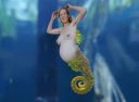 seahorse_mermaid.jpg